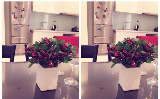 apartment for rent in binh thanh district BT1052296 (3)